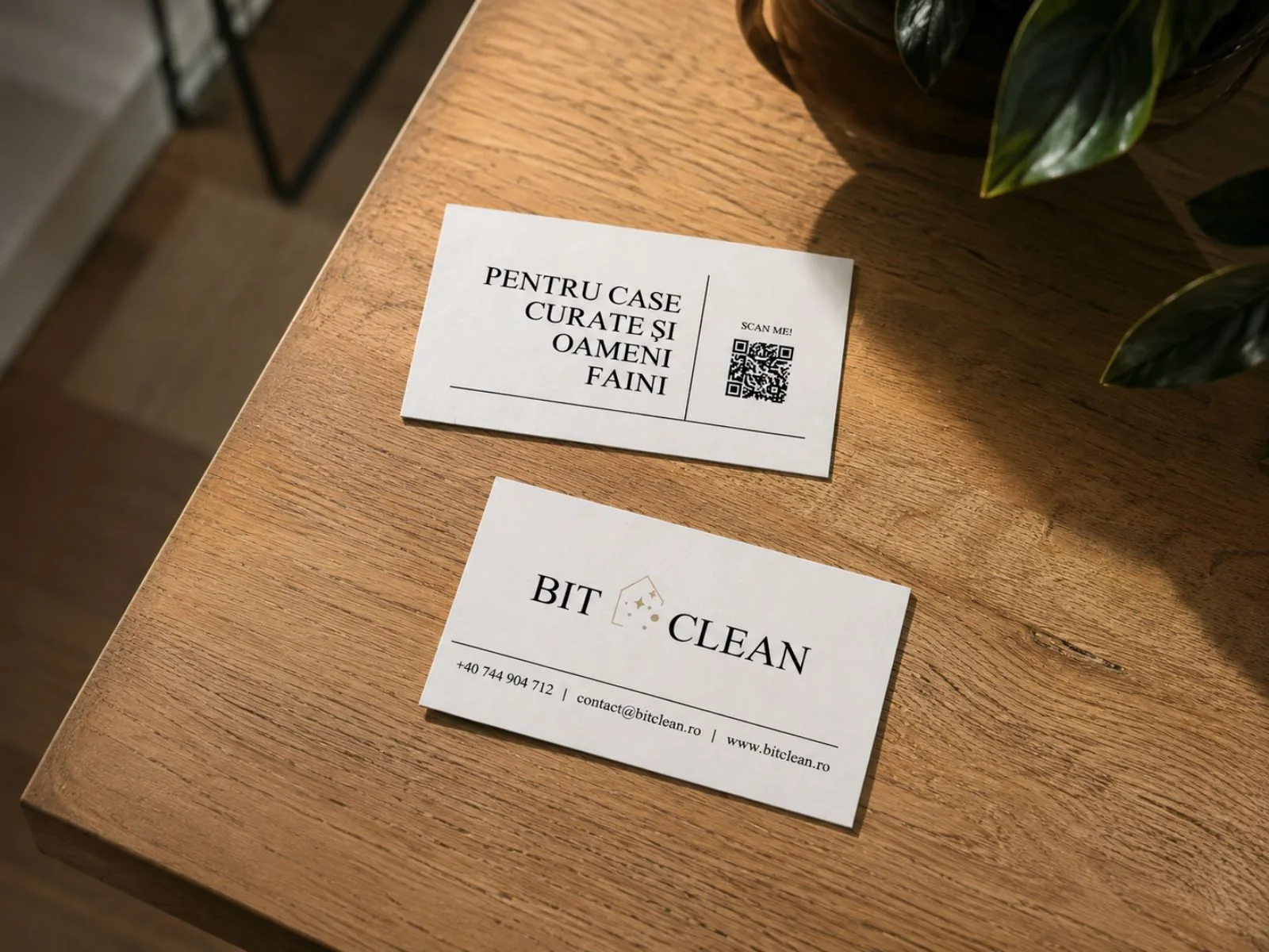 Proiect de identitate vizuală Branding Fain