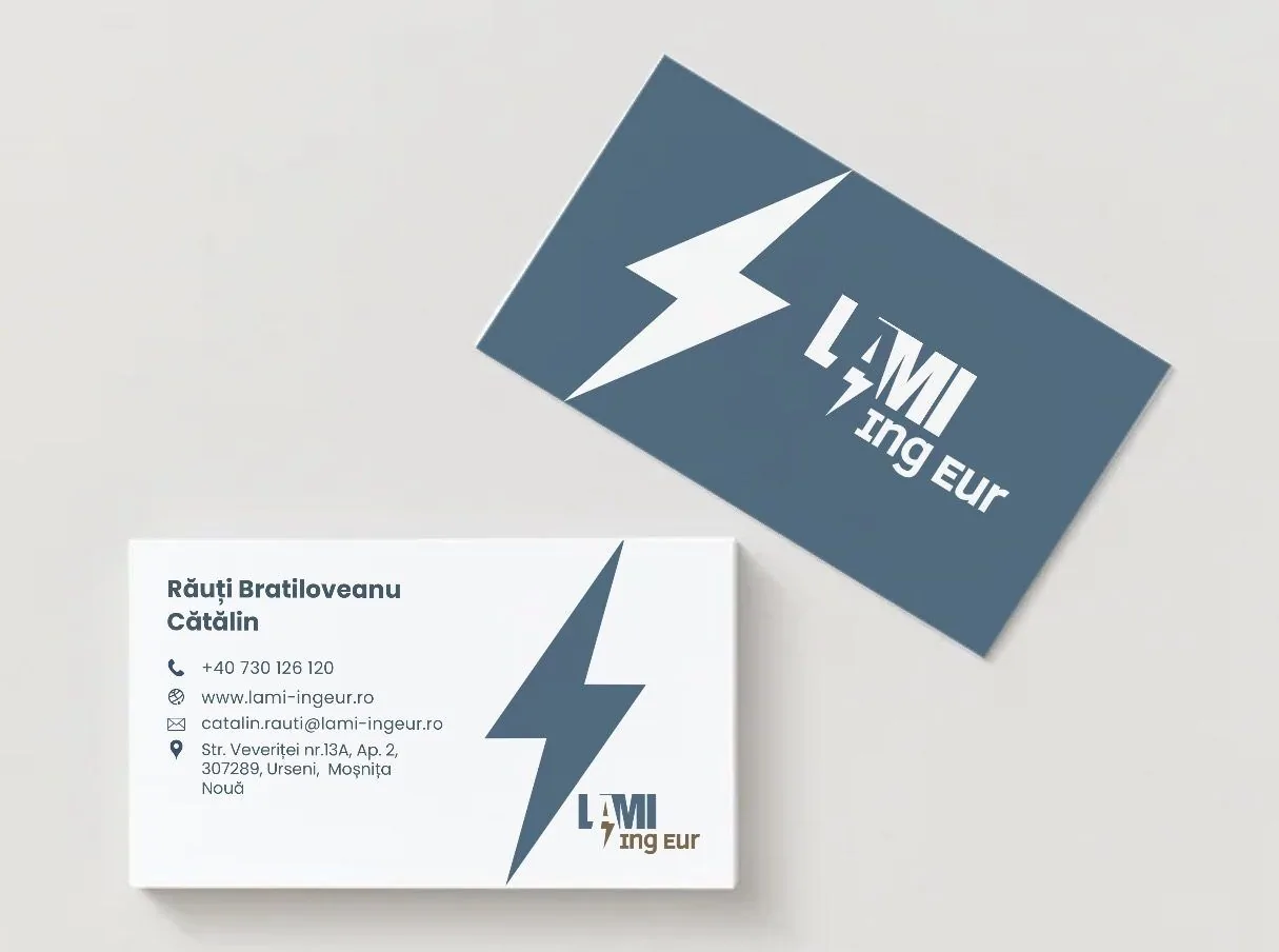 Proiect de identitate vizuală LAMI