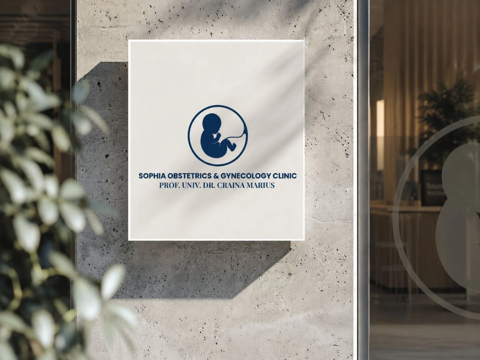 Proiect de branding Sophia